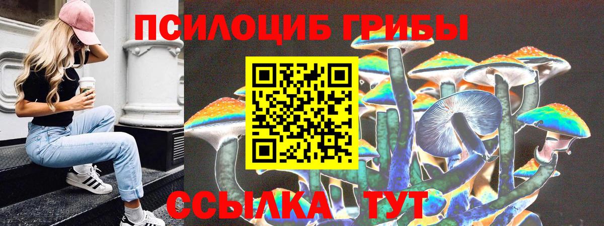 Галлюциногенные грибы Cubensis Сосновый Бор